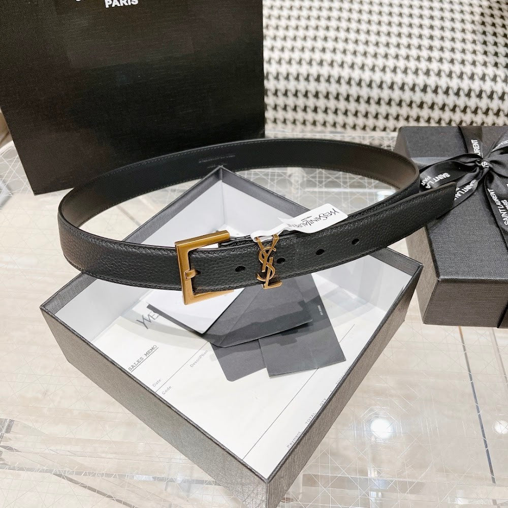 Ezyycart Bags YSLn Luxury Belt --110386