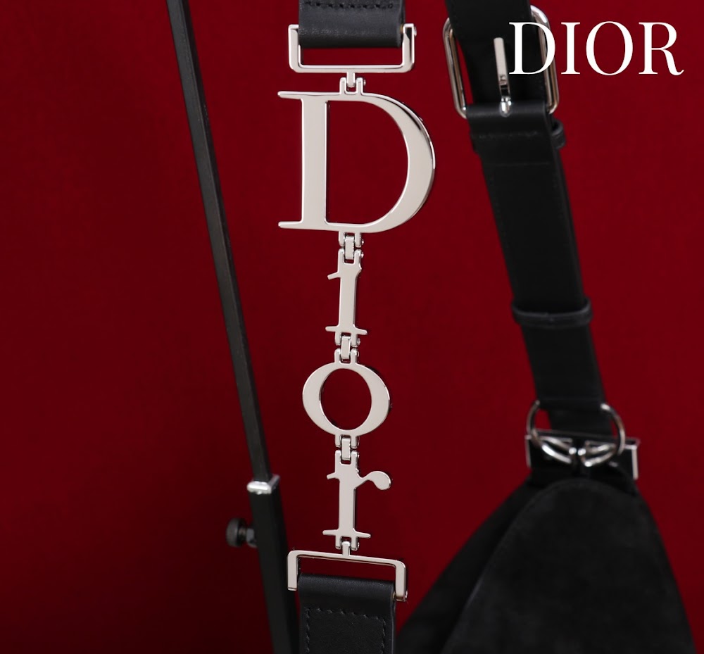 Ezyycart Bags Diorn Luxury Bag --115359