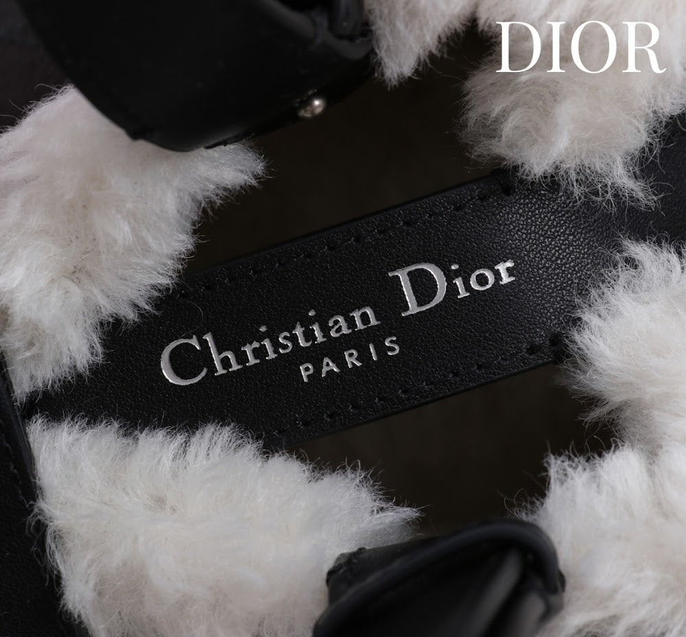 Anum Bags Diorn Luxury Bag --114888