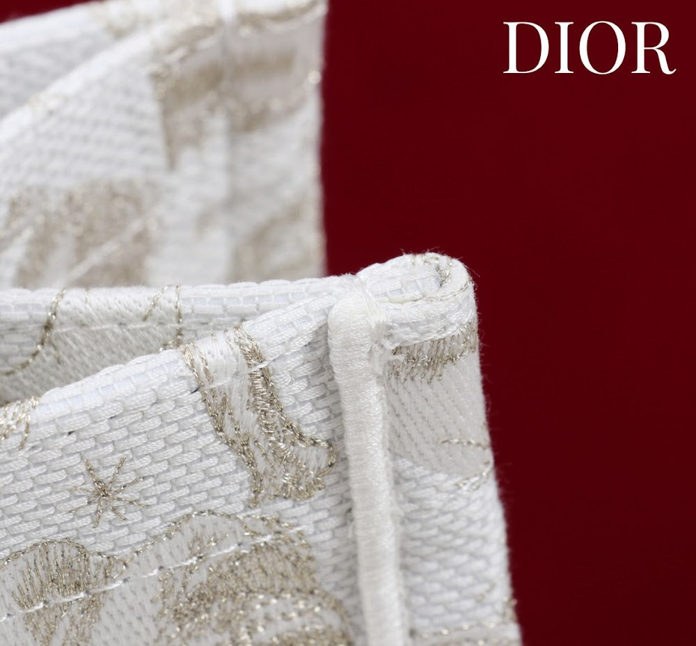 Anum Bags Diorn Luxury Bag --114899