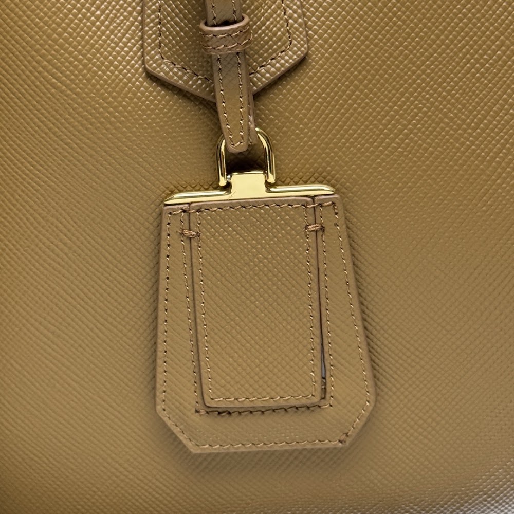 Ezyycart Bags Pradn Luxury Bag --102313