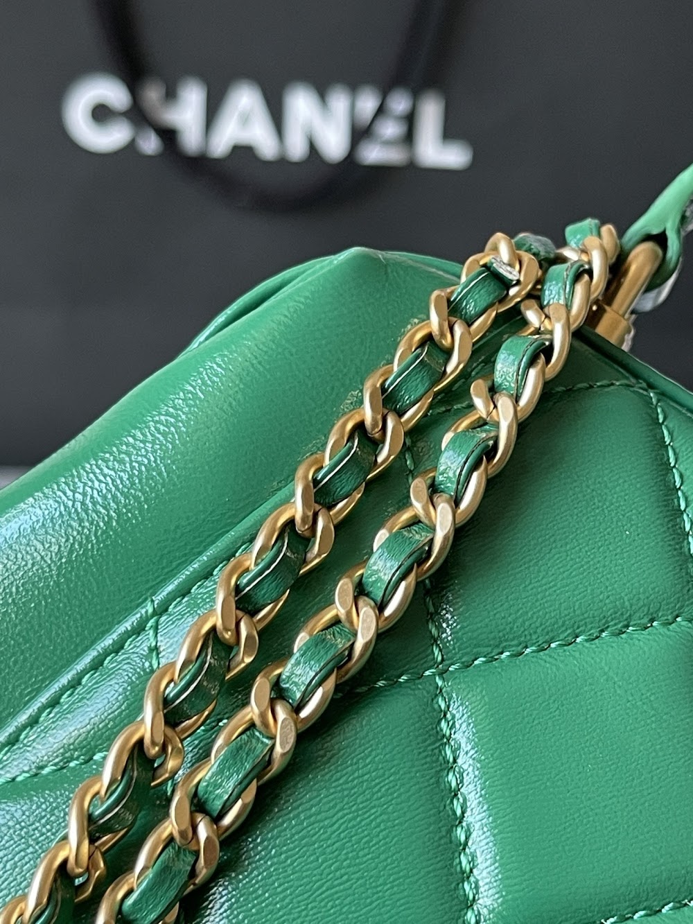new-luxury-designer-bags-nm19951