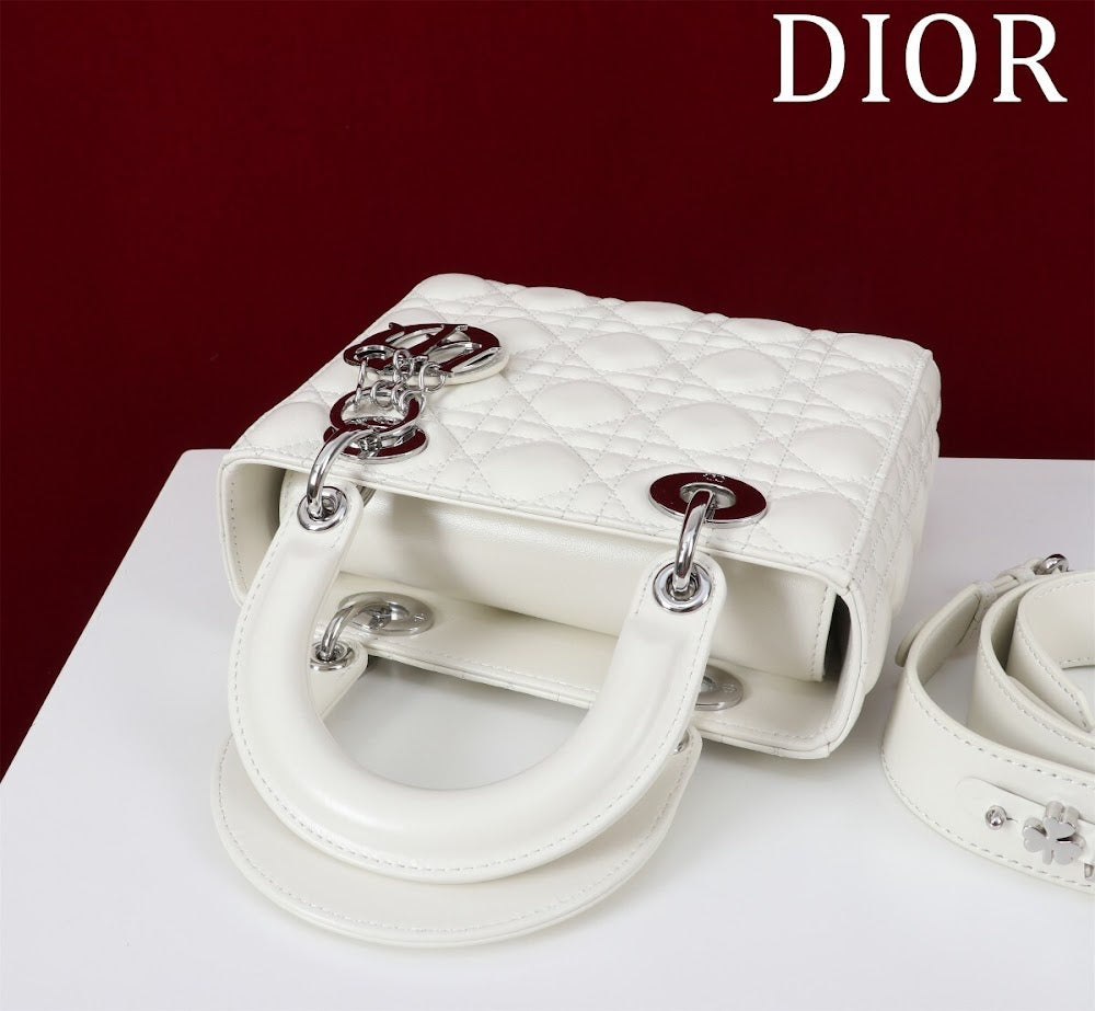Ezyycart Bags Diorn Luxury Bag --115935