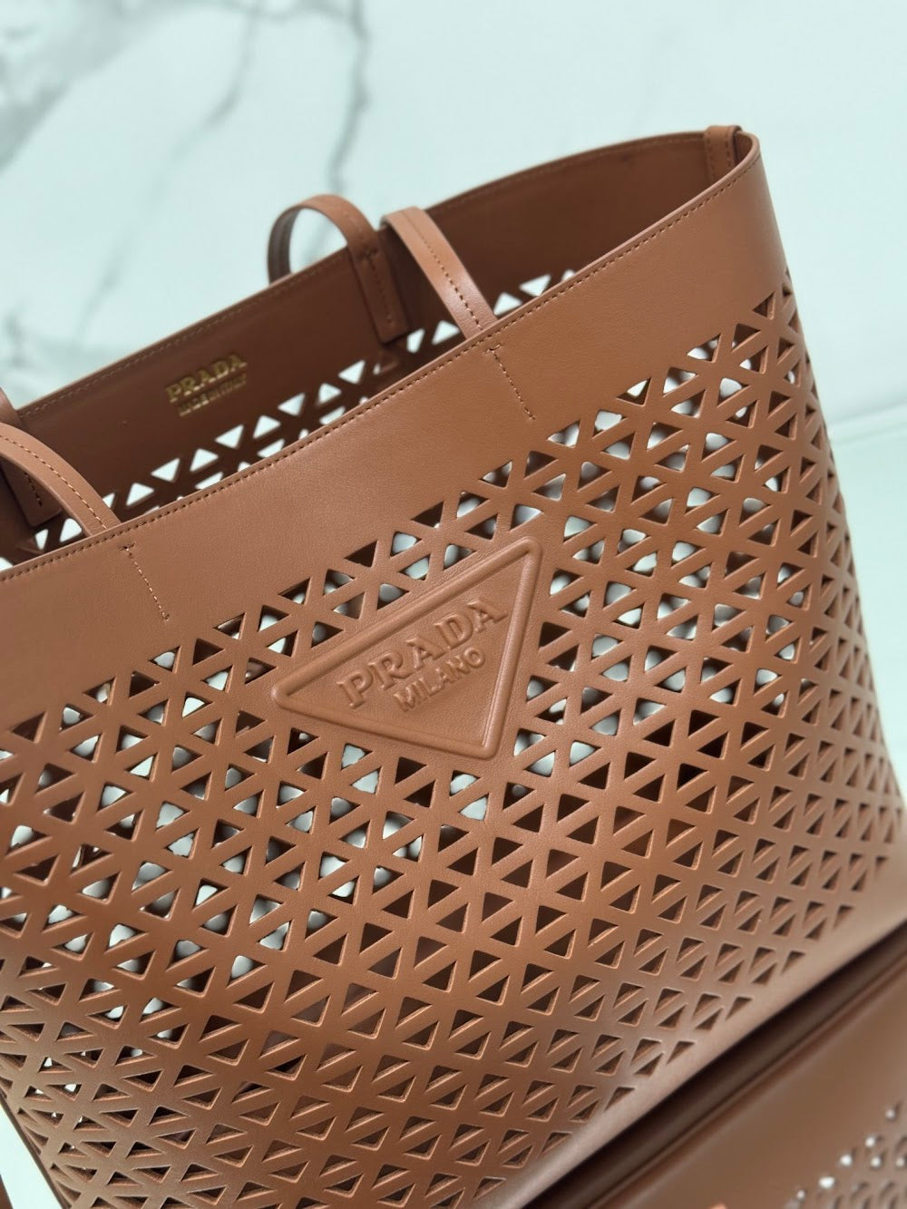 Ezyycart Bags Pradn Luxury Bag --101904