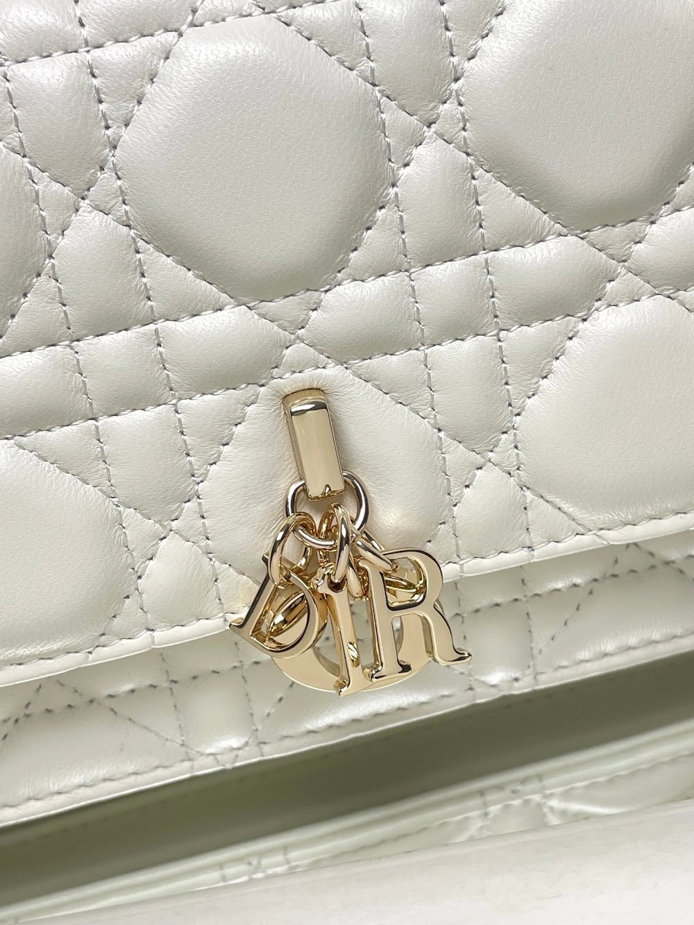 new-designer-premium-bags-nm15919