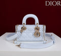 Ezyycart Bags Diorn Luxury Bag --115415