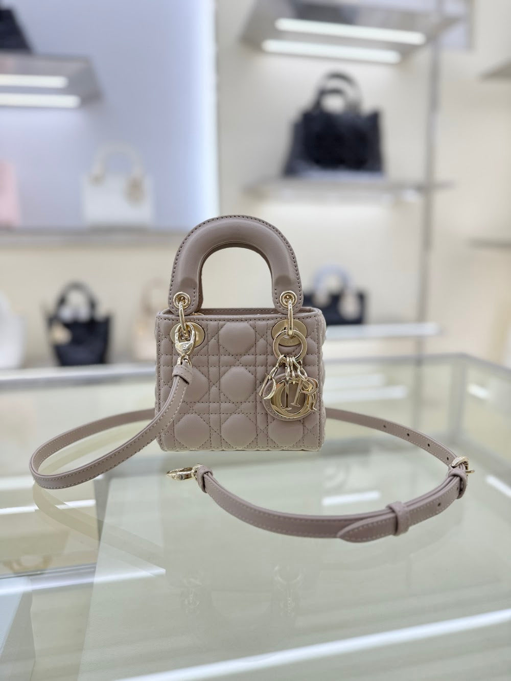 Ezyycart Bags Diorn Luxury Bag --115435