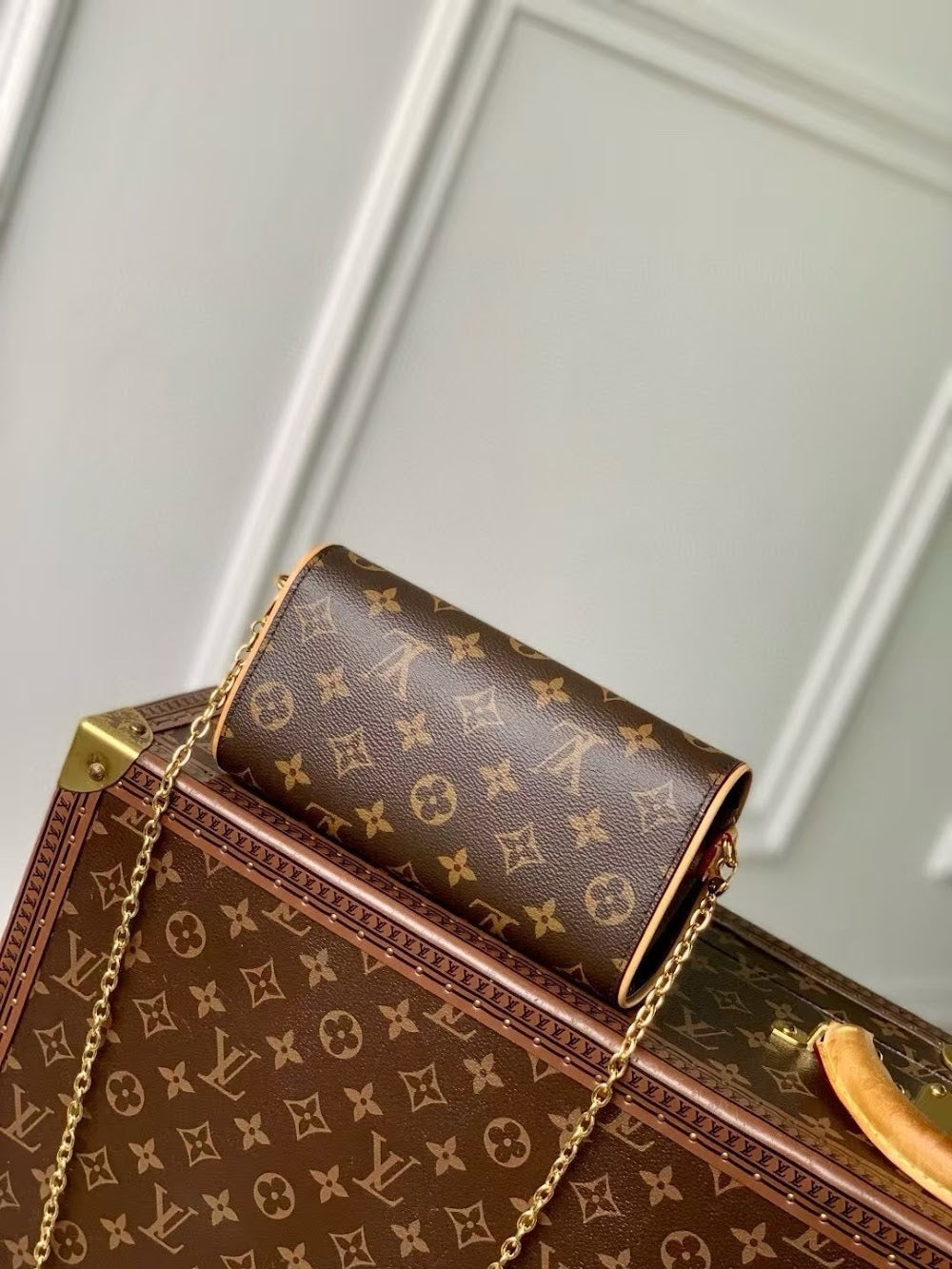 Anum Bags LVn Luxury Bag --81152