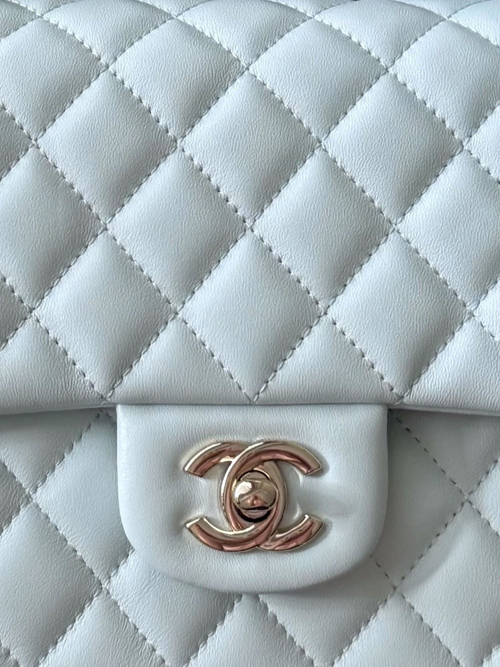 Anum Bags CHn Luxury Bag --112964