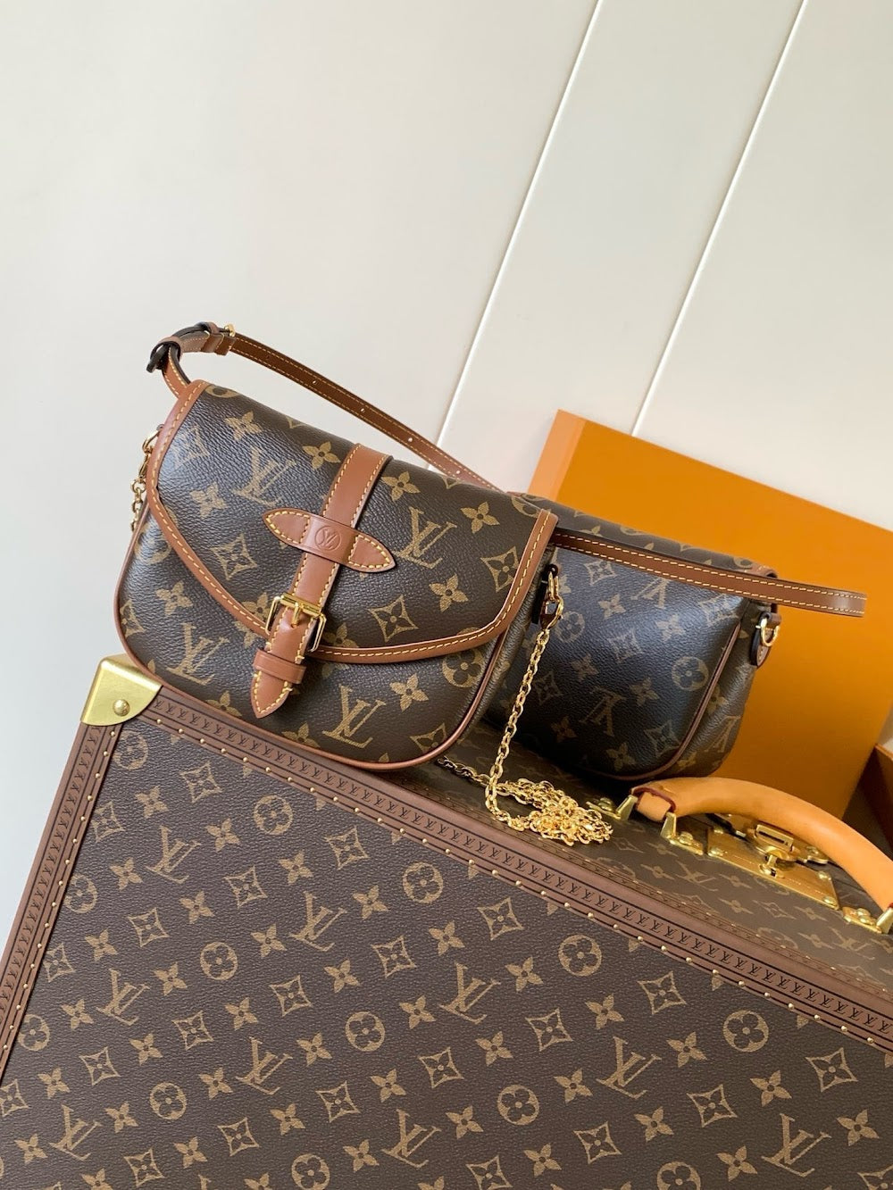 Anum Bags LVn Luxury Bag --80954