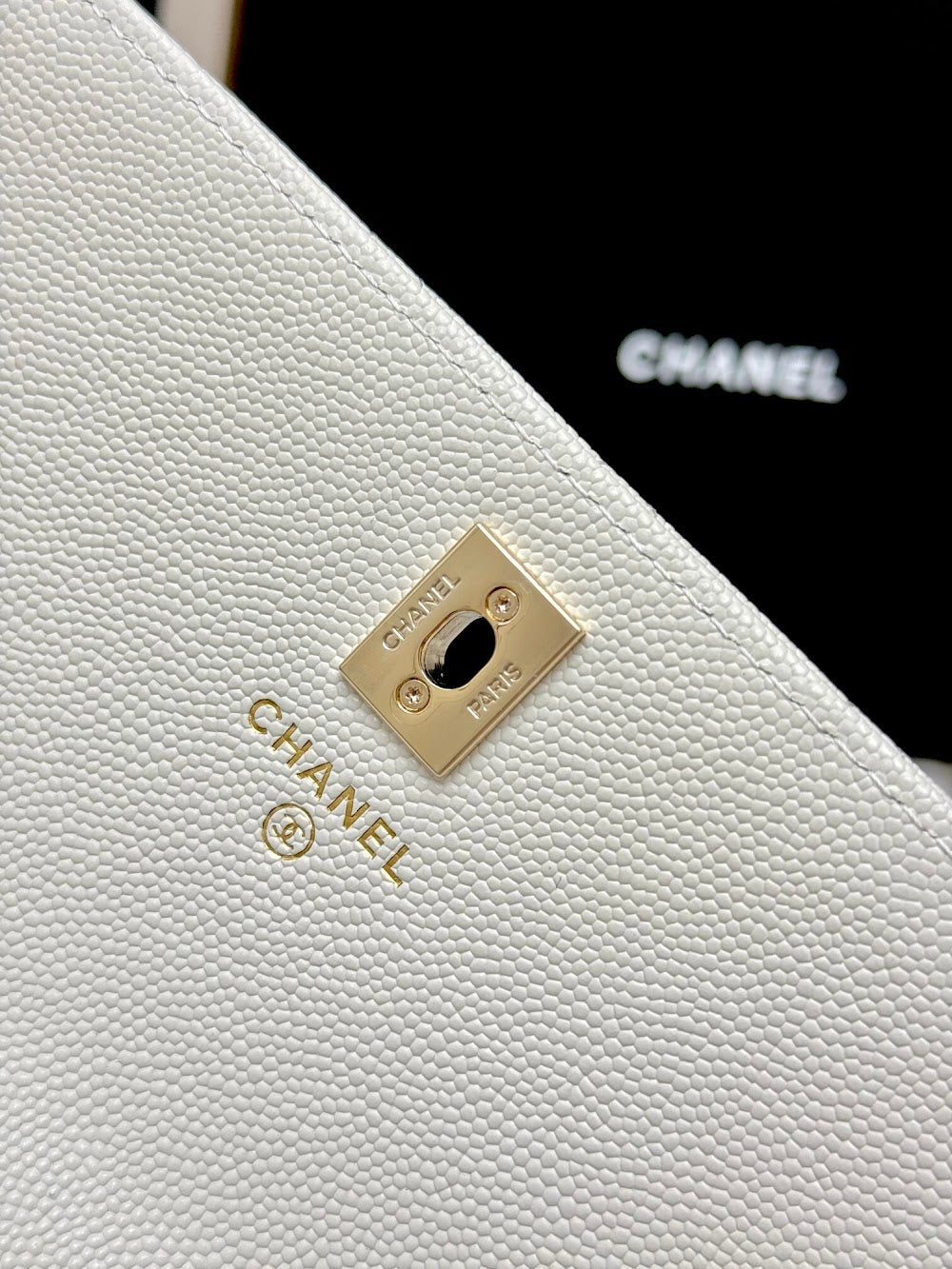 Anum Bags CHn Luxury Bag --113796