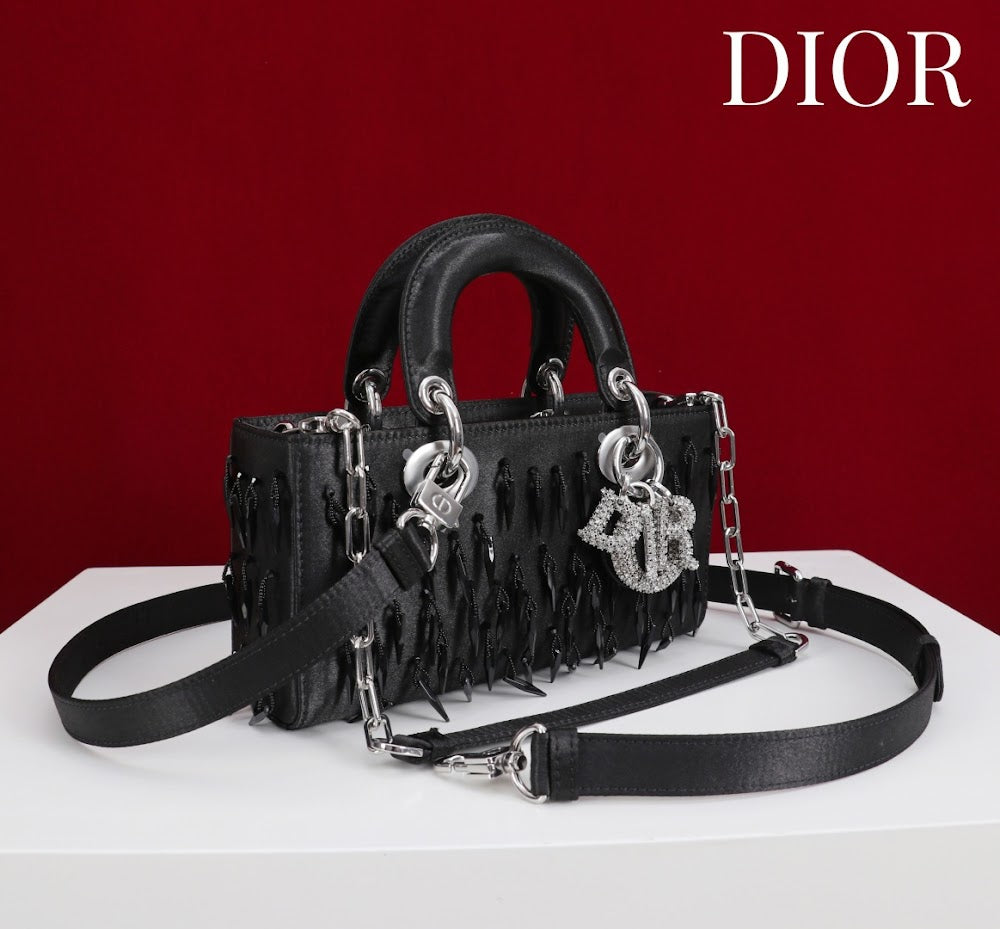 Anum Bags Diorn Luxury Bag --114706