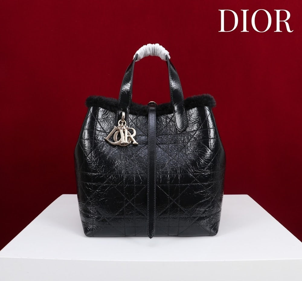 Ezyycart Bags Diorn Luxury Bag --116121