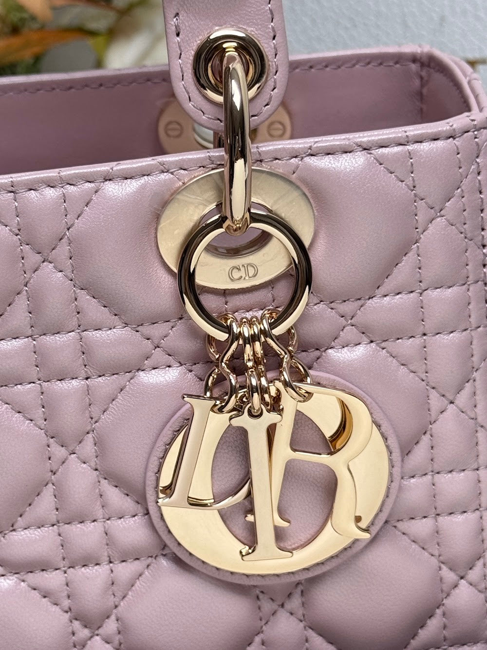 Ezyycart Bags Diorn Luxury Bag --116014