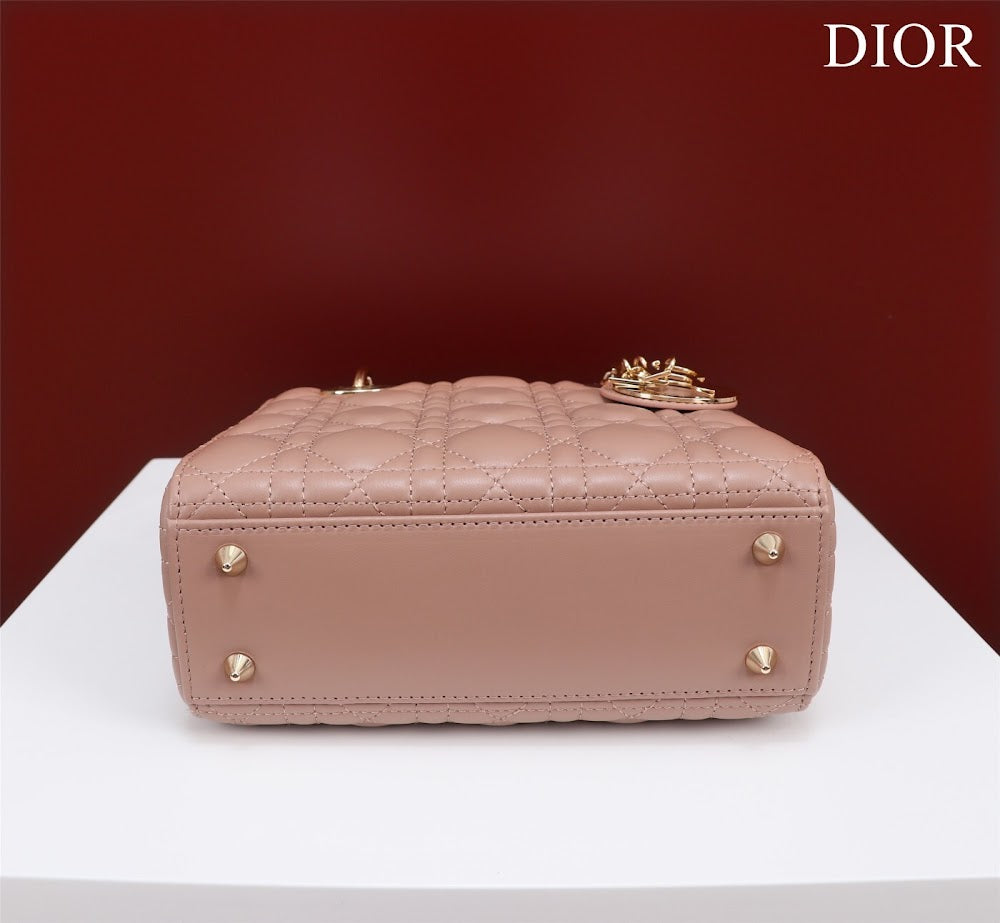 Ezyycart Bags Diorn Luxury Bag --115918