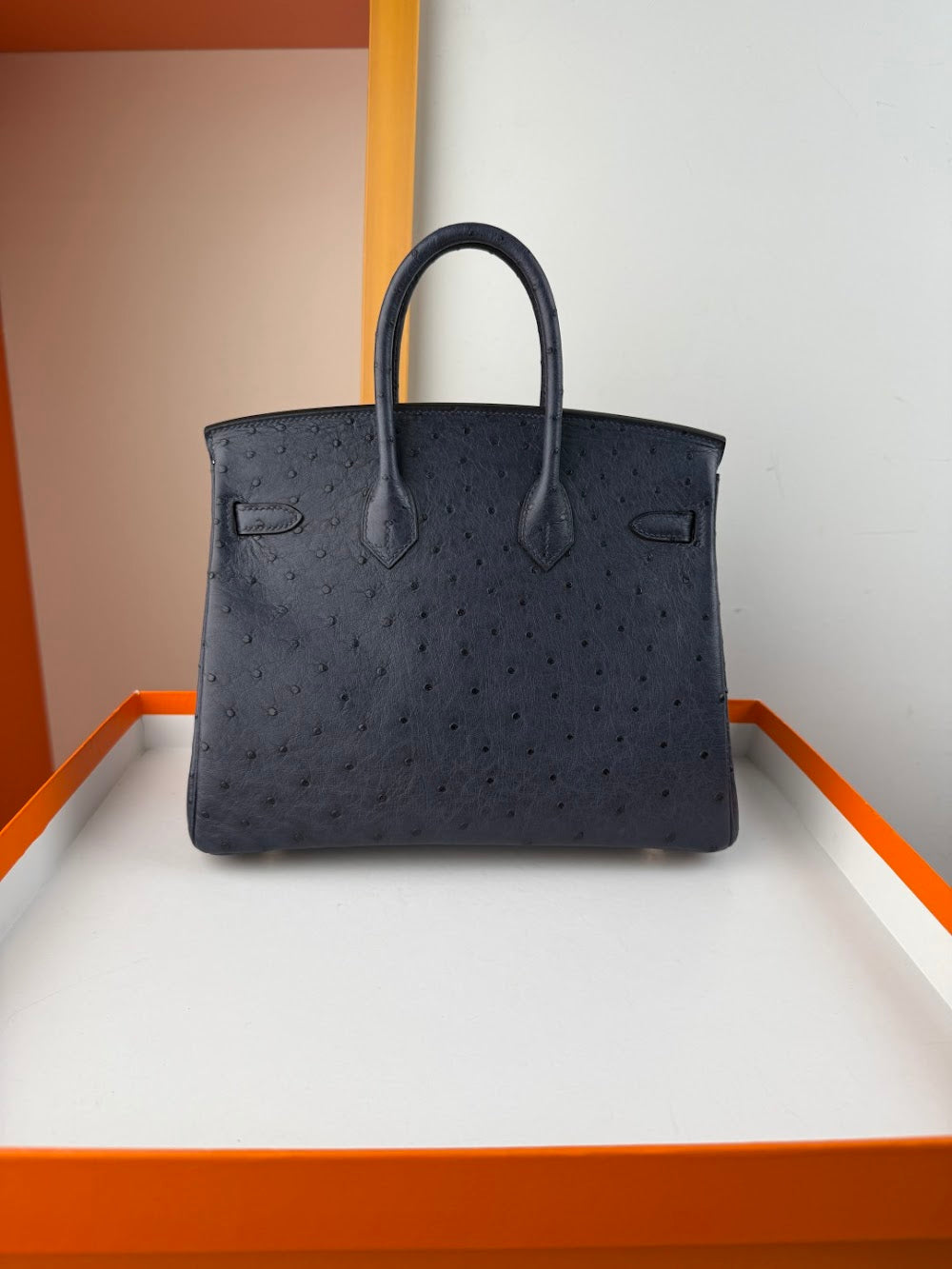Anum Bags Hermesn Luxury Bag --116751