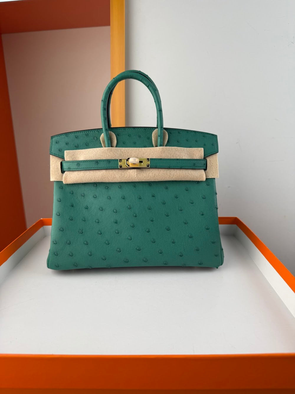 Anum Bags Hermesn Luxury Bag --116757