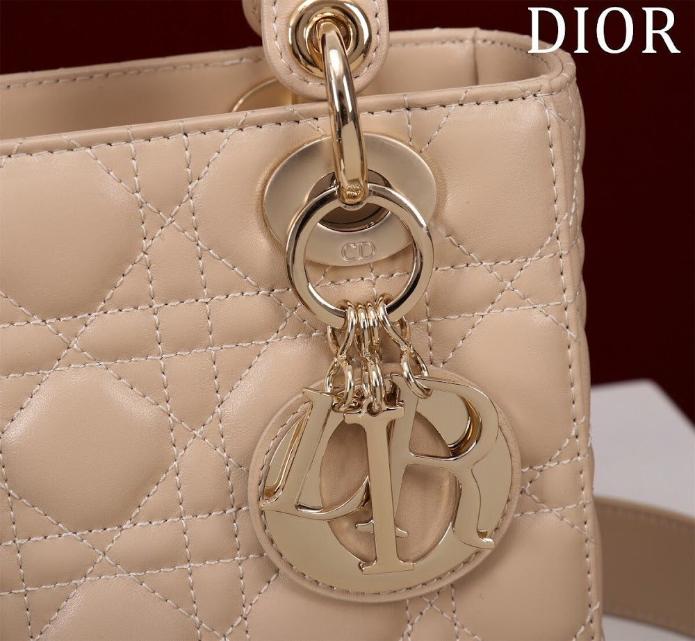 Ezyycart Bags Diorn Luxury Bag --115932