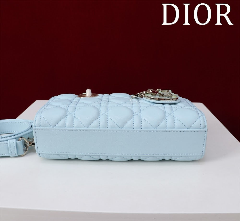 Anum Bags Diorn Luxury Bag --114850