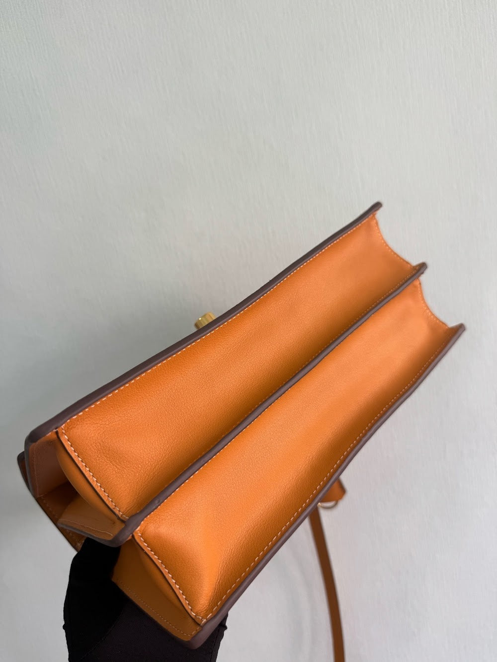 Ezyycart Bags Pradn Luxury Bag --102541
