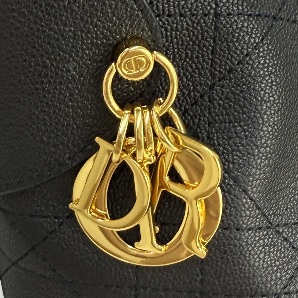 Ezyycart Bags Diorn Luxury Bag --115651