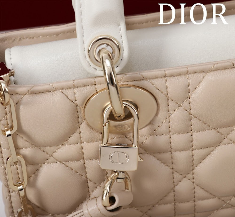Anum Bags Diorn Luxury Bag --114855