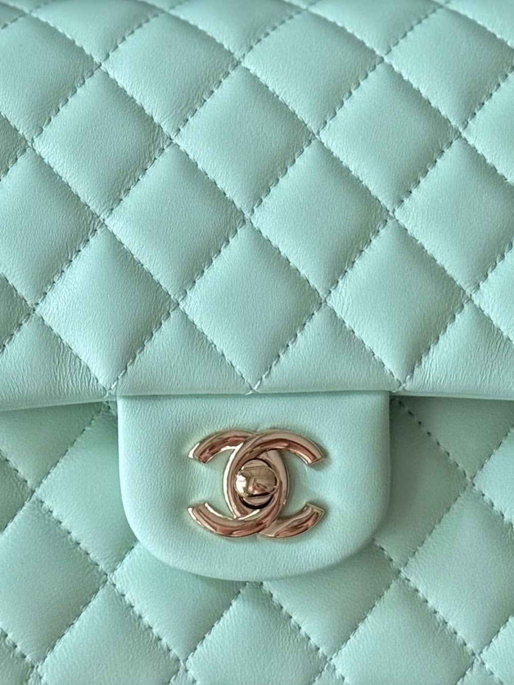 Anum Bags CHn Luxury Bag --112989