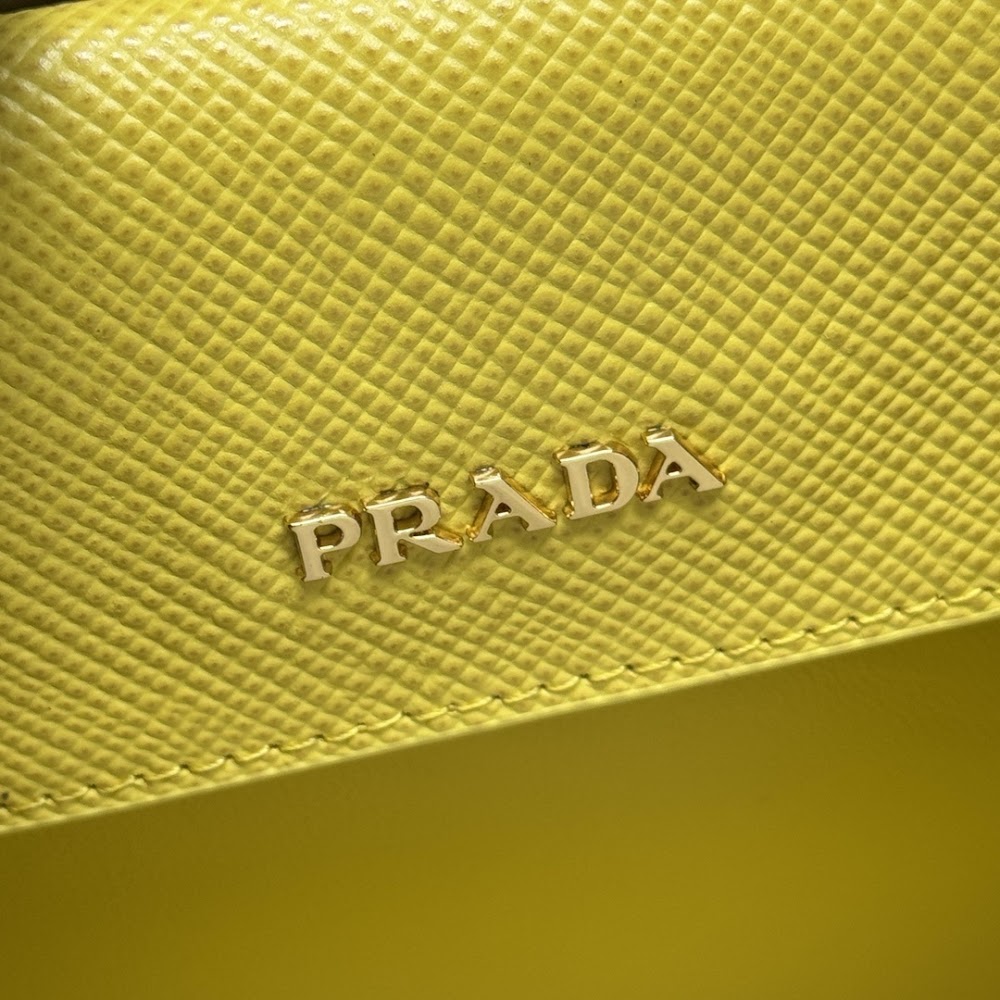 Ezyycart Bags Pradn Luxury Bag --102318