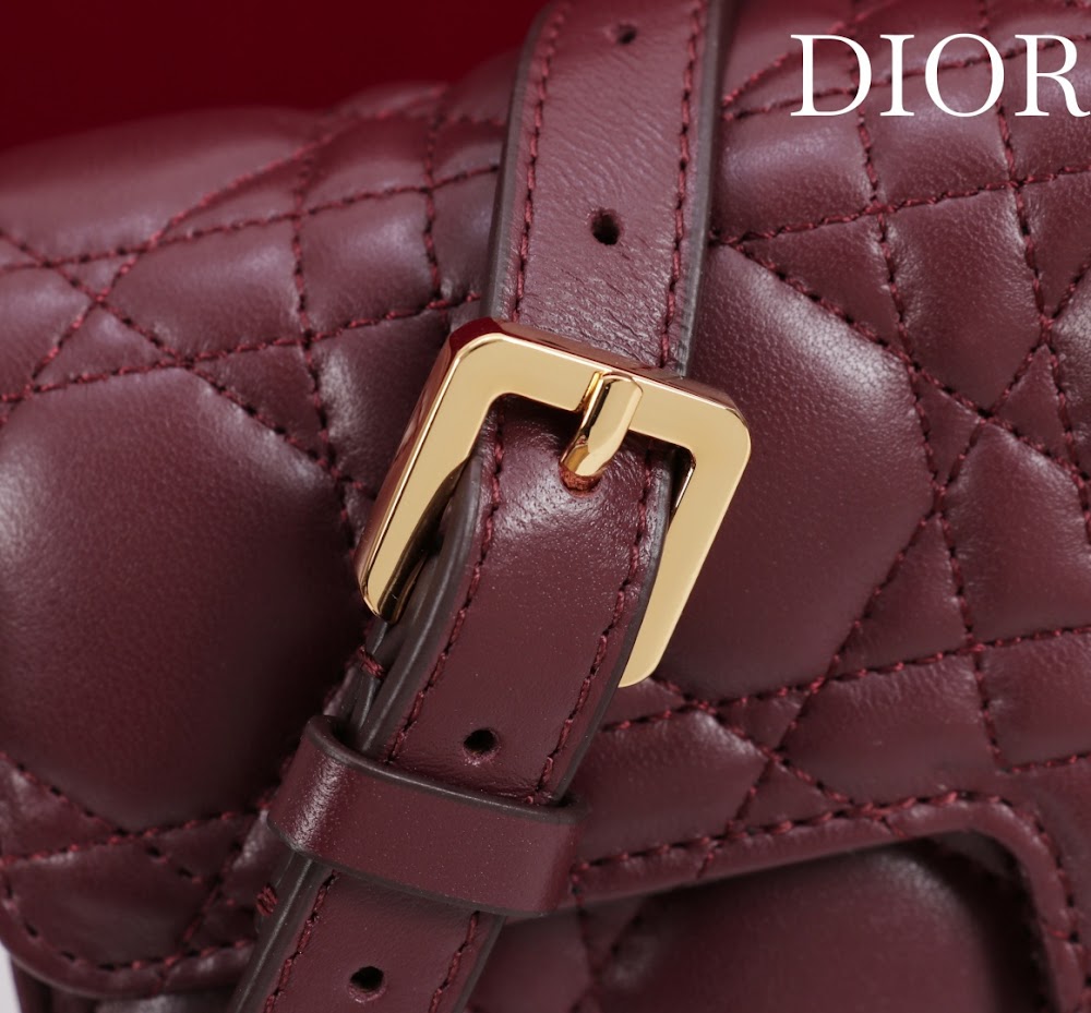 Ezyycart Bags Diorn Luxury Bag --116379