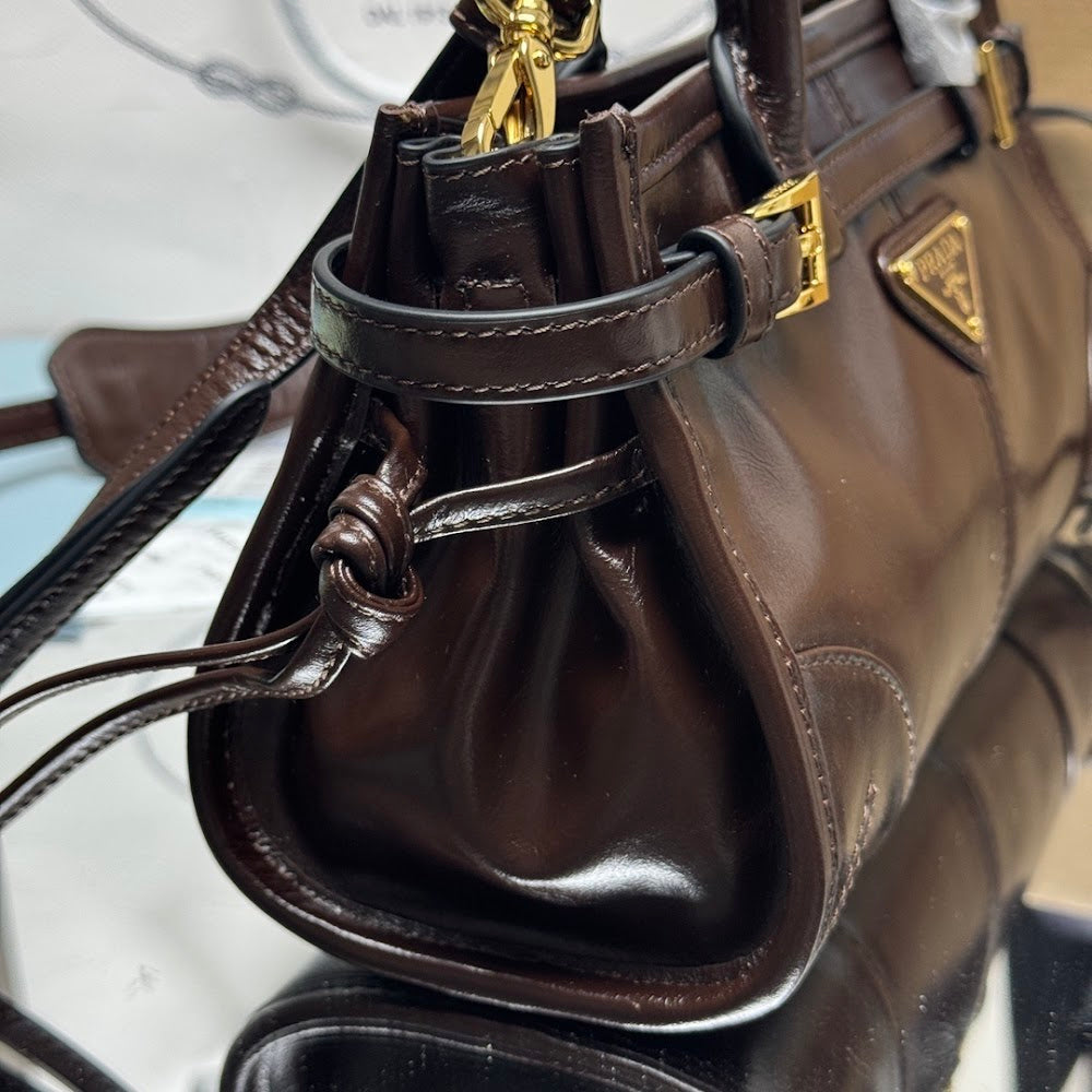 Ezyycart Bags Pradn Luxury Bag --101713