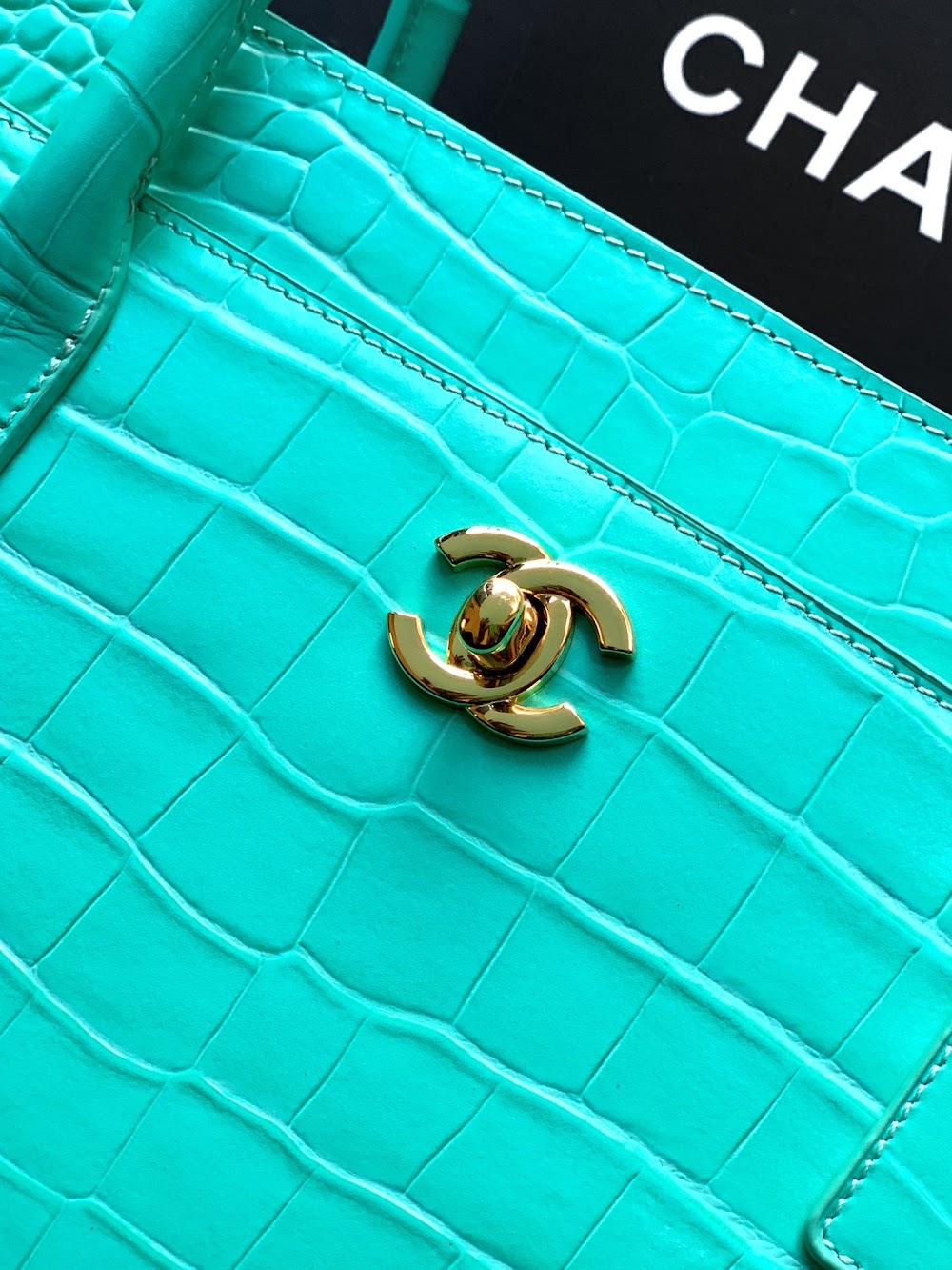Anum Bags CHn Luxury Bag --112792