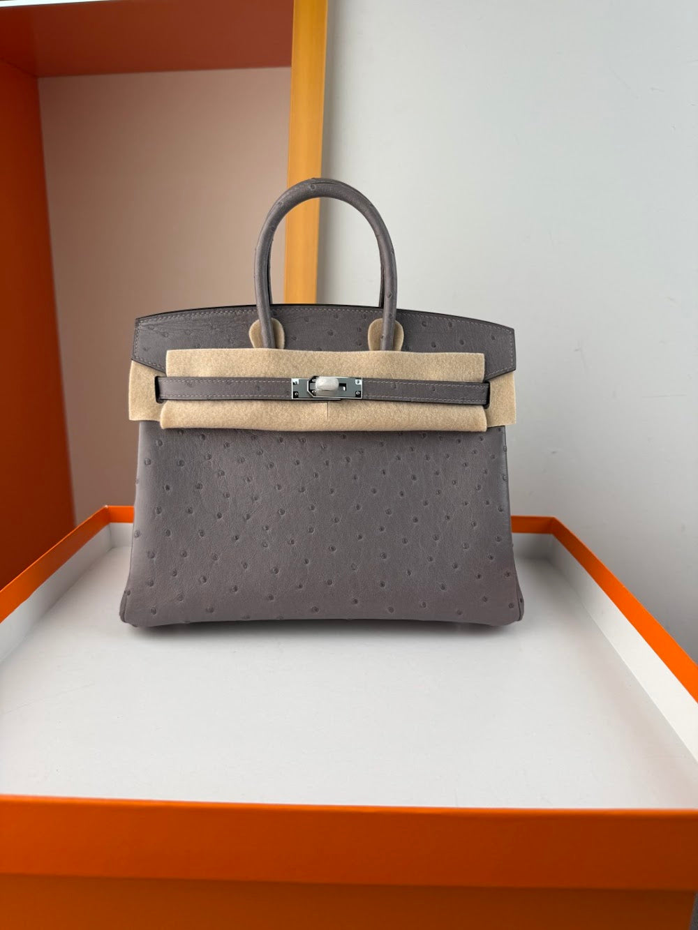 Anum Bags Hermesn Luxury Bag --116753