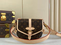 Anum Bags ln Luxury Bag --56403