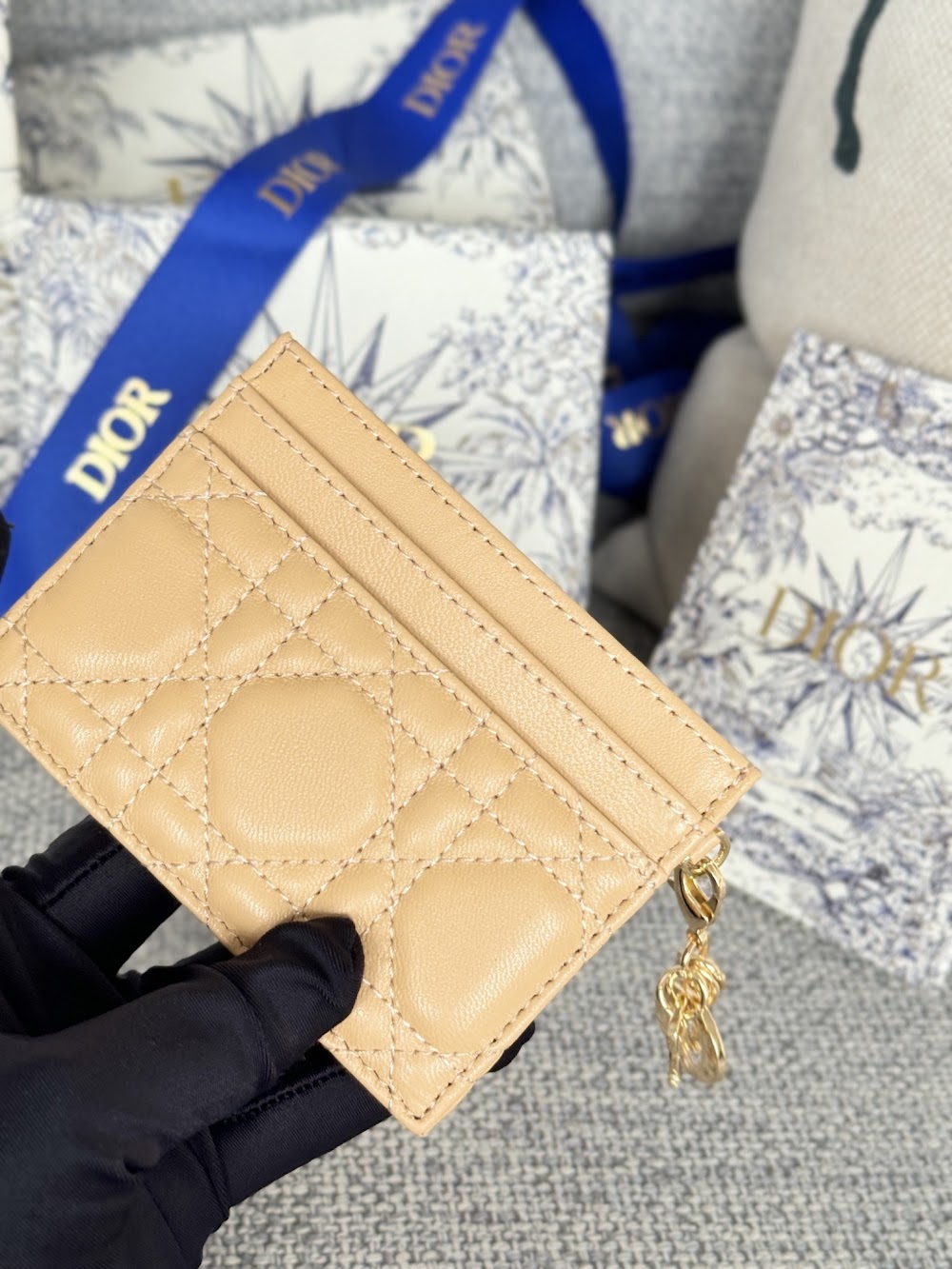 Anum Bags Diorn Luxury Bag --114683
