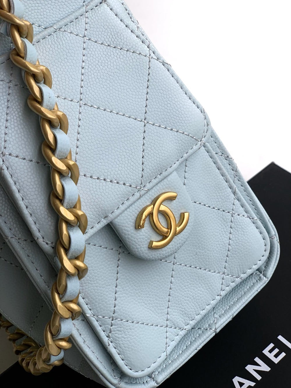 Anum Bags CHn Luxury Bag --112894
