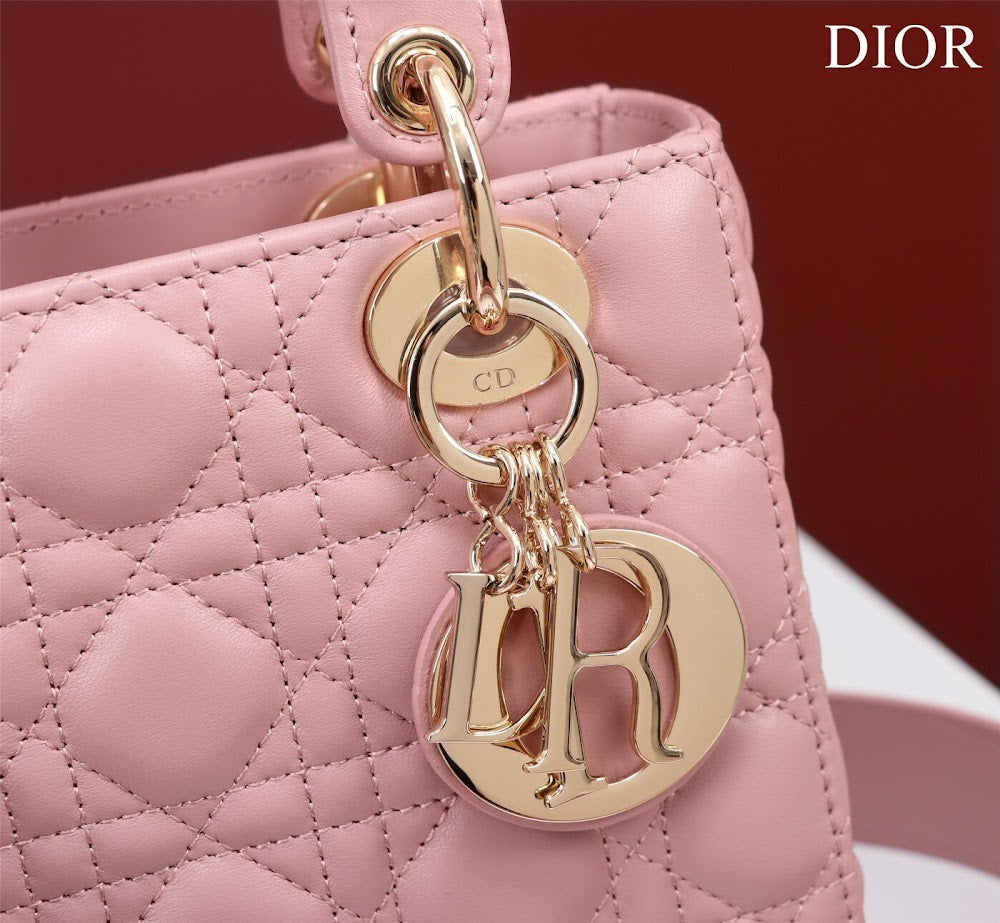 Ezyycart Bags Diorn Luxury Bag --115915