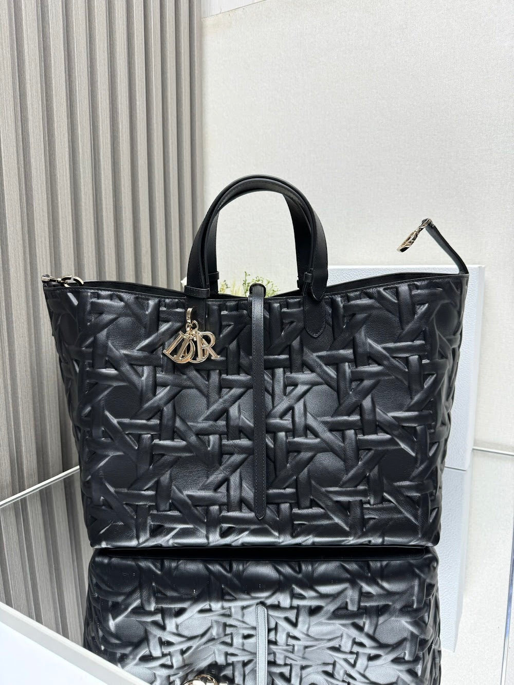 Ezyycart Bags Diorn Luxury Bag --116434