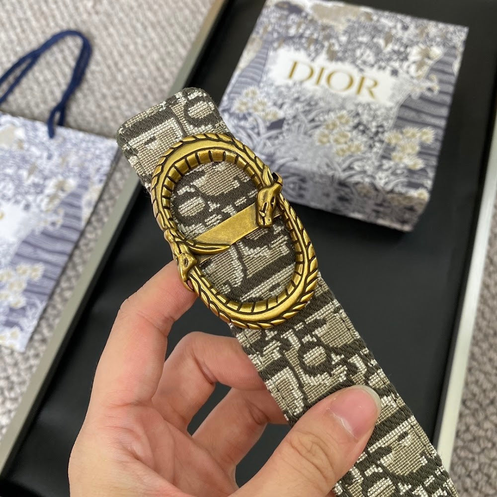 Anum Bags Diorn Luxury Belt --104888