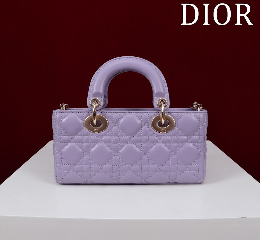 Anum Bags Diorn Luxury Bag --114762