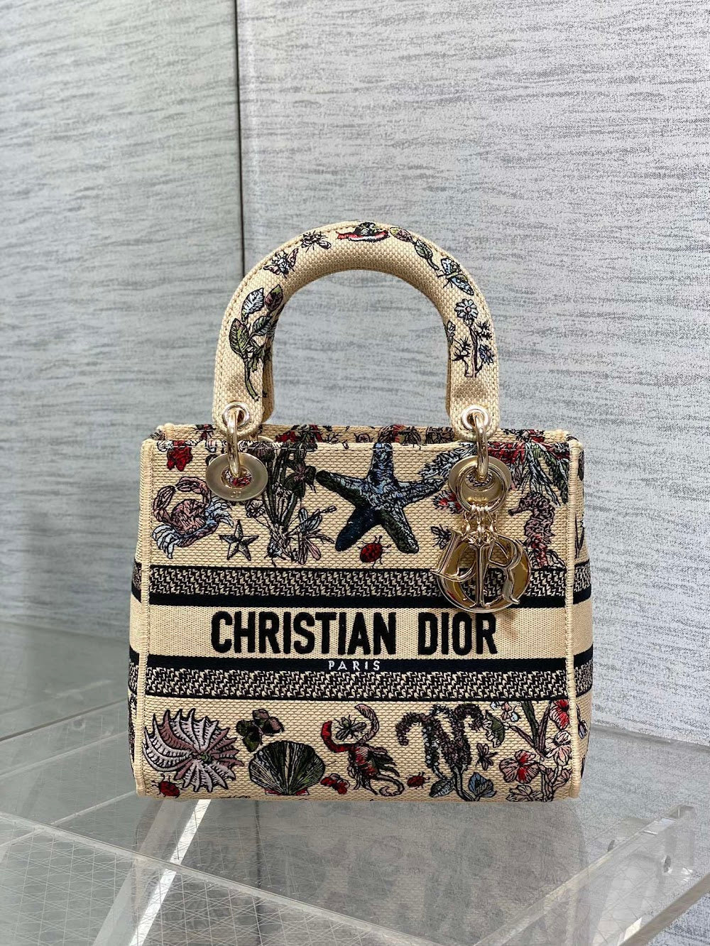 new-designer-premium-bags-nm16301