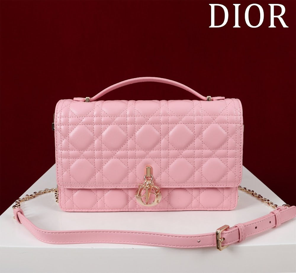Ezyycart Bags Diorn Luxury Bag --116300