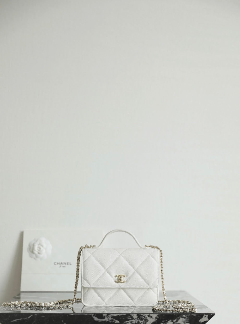 Anum Bags CHn Luxury Bag --113593