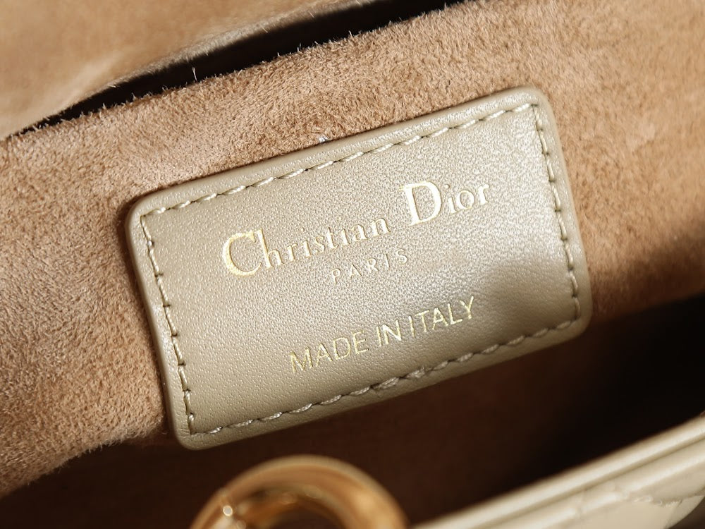 Anum Bags Diorn Luxury Bag --114839