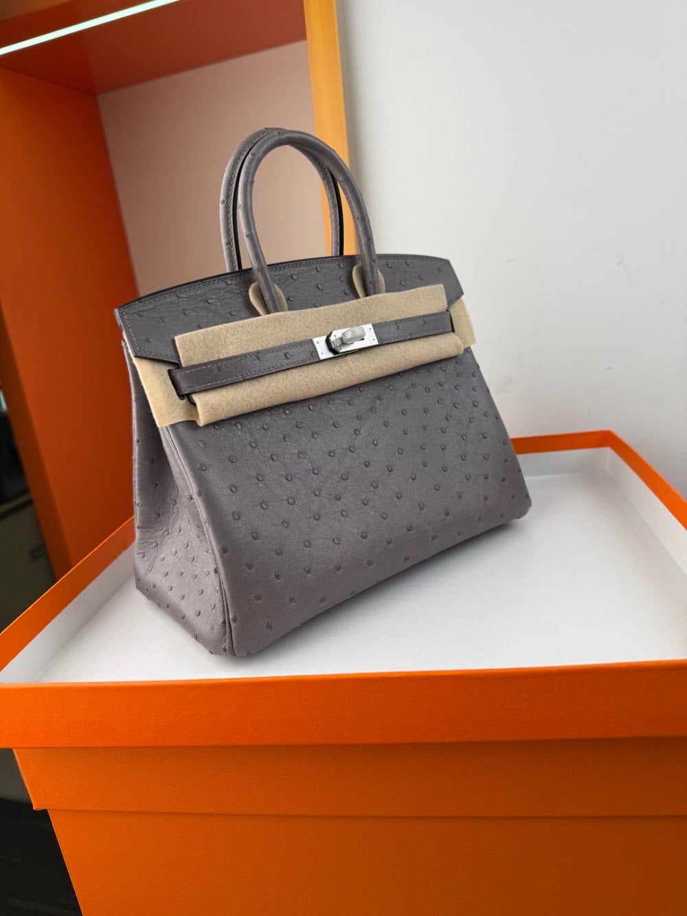 Anum Bags Hermesn Luxury Bag --116753