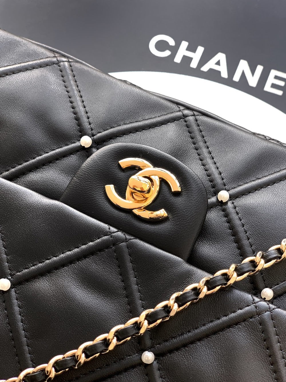 Anum Bags CHn Luxury Bag --112946