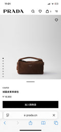 Ezyycart Bags Pradn Luxury Bag --102578