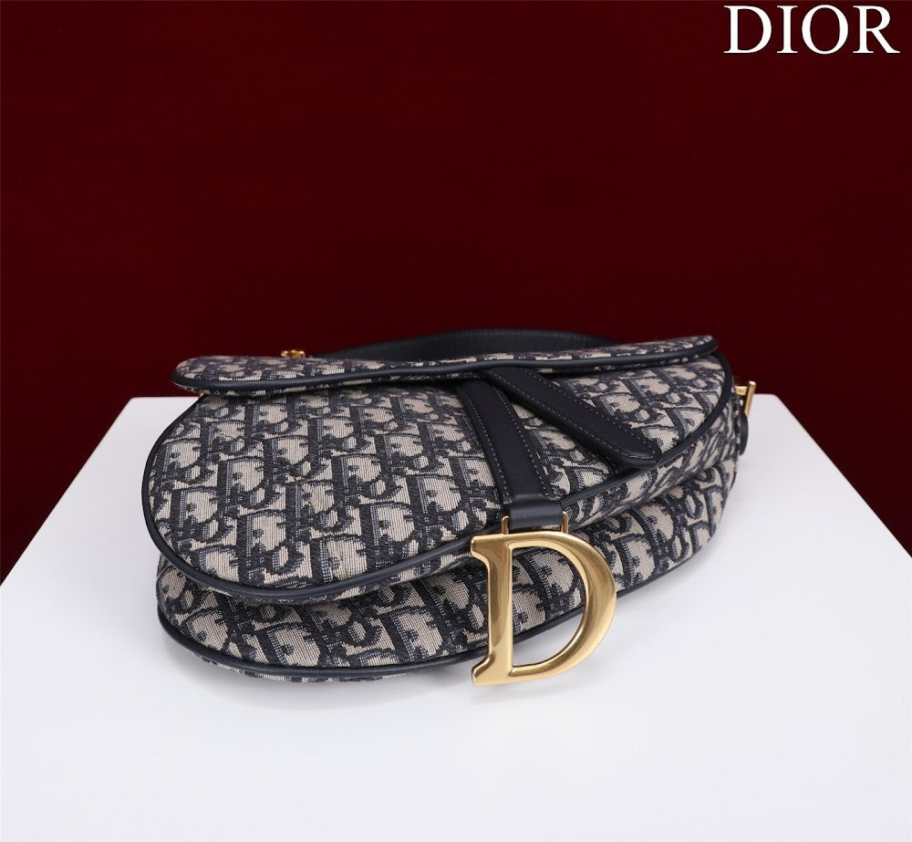 Ezyycart Bags Diorn Luxury Bag --116449