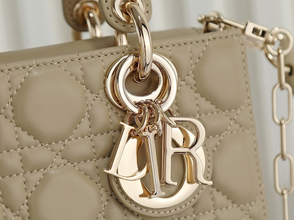Anum Bags Diorn Luxury Bag --114846