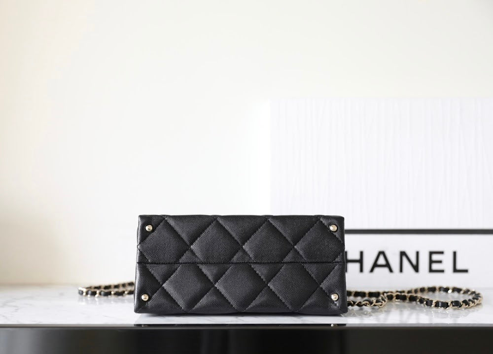 new-designer-premium-bags-nm10147
