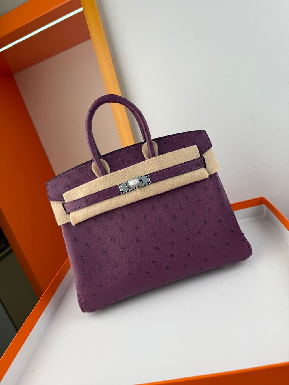Anum Bags Hermesn Luxury Bag --116760